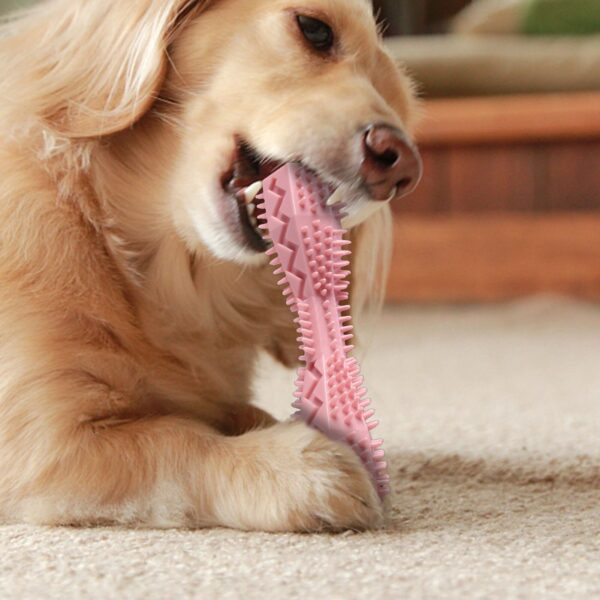 2pcs Pet Teeth Cleaning Toy - Image 2