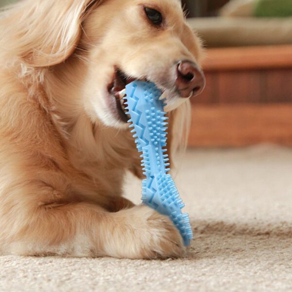 2pcs Pet Teeth Cleaning Toy - Image 3