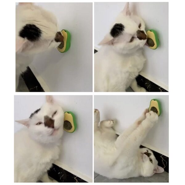 Avocado Catnip Ball Toy For Pet - Image 6
